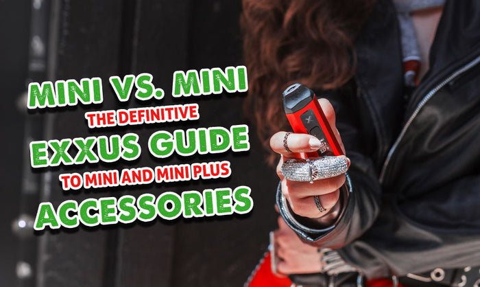 Mini vs Mini: La guía Exxus de accesorios Mini y Mini Plus